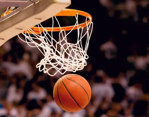 Basket Ball and Hoop
